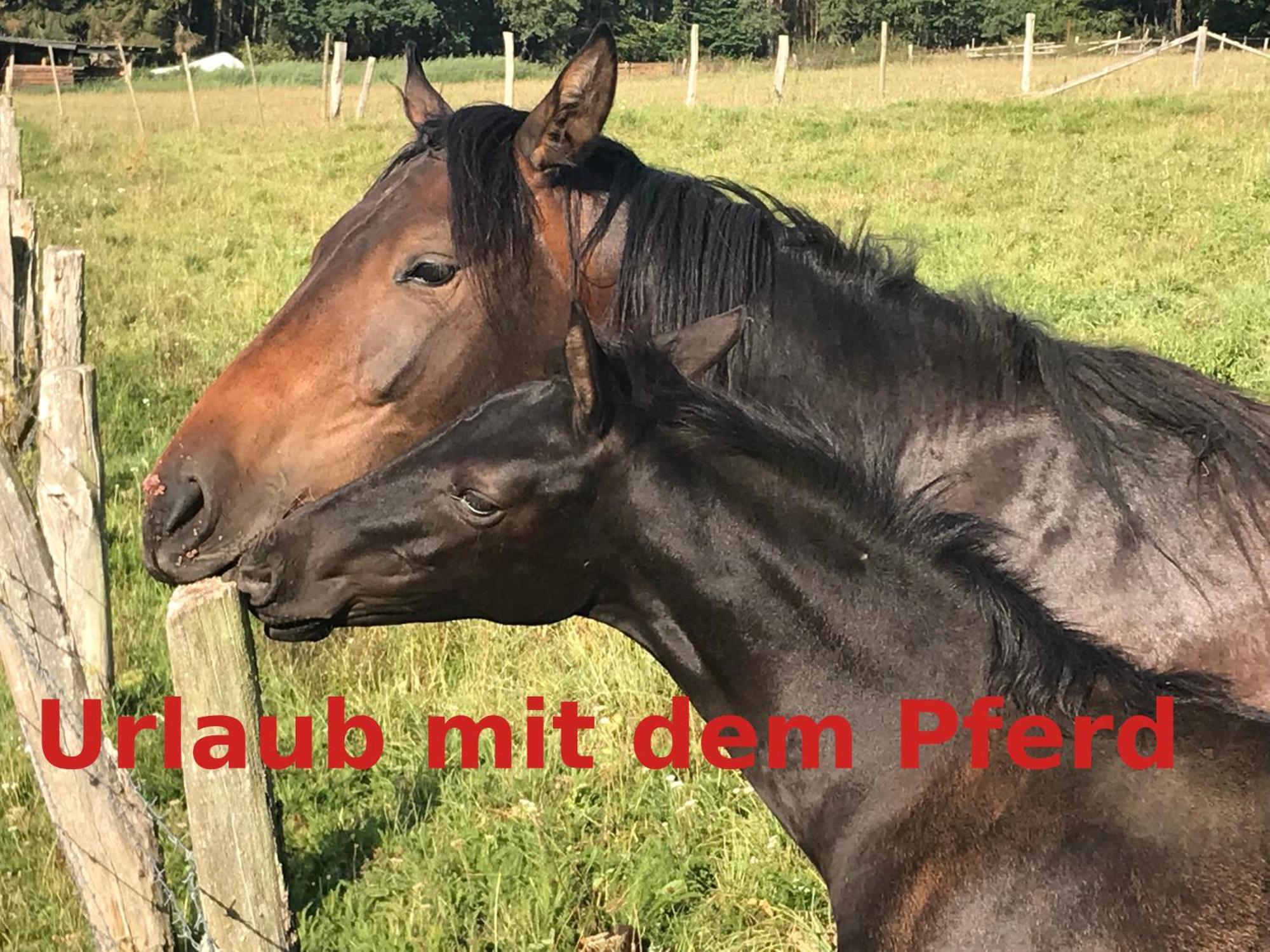 Hardtmuehle Momberg Leilighet Eksteriør bilde